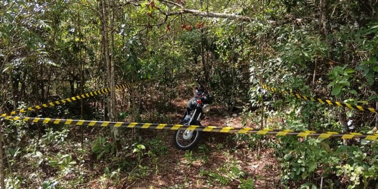 Cães do Corpo de Bombeiros atuam nas buscas por Ailton neste domingo