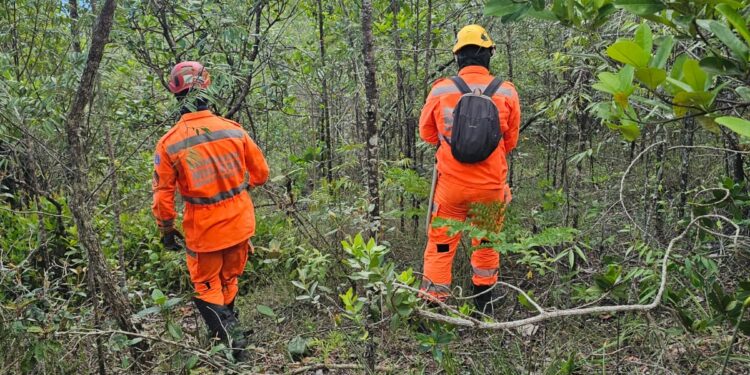 Bombeiros percorrem 175 mil m² em buscas por desaparecido; operação será retomada neste domingo