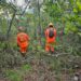 Bombeiros percorrem 175 mil m² em buscas por desaparecido; operação será retomada neste domingo
