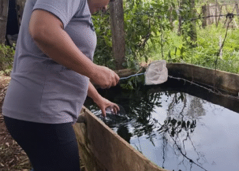 Córrego Fundo reforça combate às arboviroses