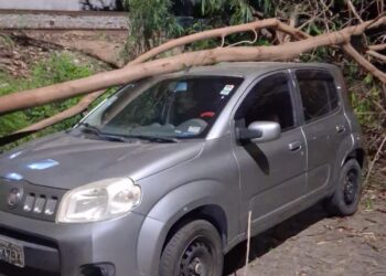 Árvore cai sobre veículo no bairro Sagrado Coração de Jesus em Formiga
