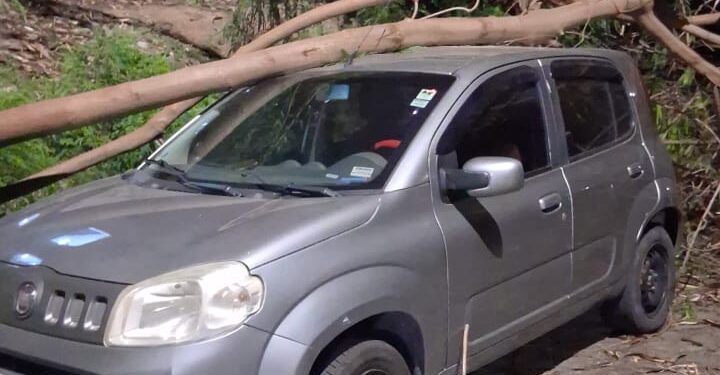 Árvore cai sobre veículo no bairro Sagrado Coração de Jesus em Formiga