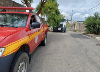 Formiga: árvore cai sobre caminhão no bairro Ercio Rocha e bombeiros são acionados