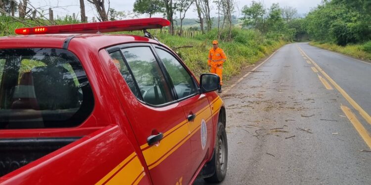 Árvore cai na MG-170 e bloqueia parcialmente rodovia entre Pains e Pimenta; tráfego já está normalizado