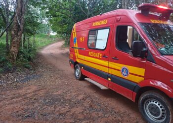 Motociclista fica ferido após colisão com bezerro em estrada rural de Formiga