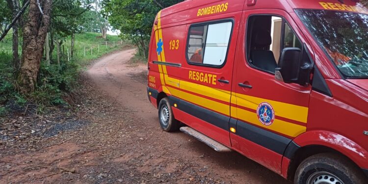 Motociclista fica ferido após colisão com bezerro em estrada rural de Formiga