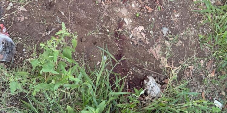 Suspeito é preso após homicídio a tiros no bairro Cidade Nova, em Formiga