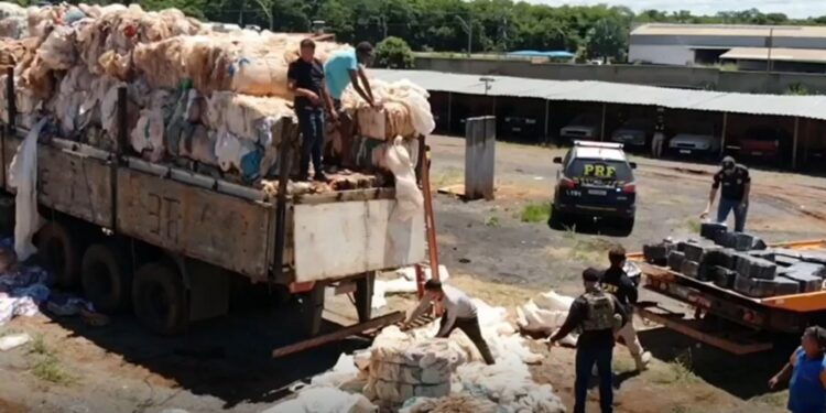 Mais de uma tonelada de maconha escondida em carreta com recicláveis é apreendida na BR-262, em Bom Despacho