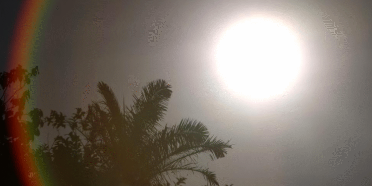 Quase 300 cidades mineiras estão em alerta para onda de calor; saiba onde