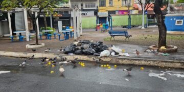 Ação de monitoramento flagra descarte irregular de lixo e pontos críticos em vias de Formiga