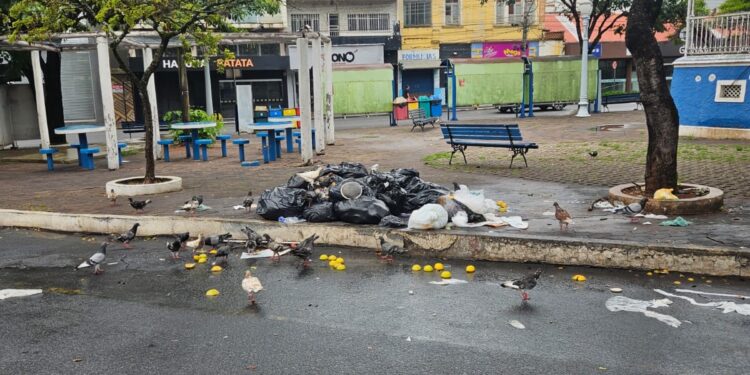 Ação de monitoramento flagra descarte irregular de lixo e pontos críticos em vias de Formiga