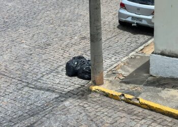 Coleta de resíduos ocorrerá com atraso em alguns bairros  nesta quinta