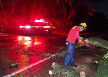 Queda de árvore interdita parcialmente a BR-354 e mobiliza Corpo de Bombeiros em Campo Belo