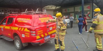 Corpo de Bombeiros e Codevida capturam cinco cães agressivos no Centro de Formiga