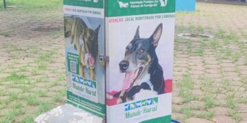 Prefeitura retira comedouro da Rodoviária após ataques de cães em Formiga