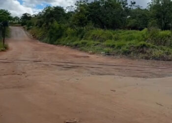 Limpeza é realizada em área de descarte irregular de lixo na estrada de Albertos