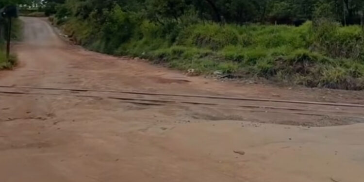 Limpeza é realizada em área de descarte irregular de lixo na estrada de Albertos