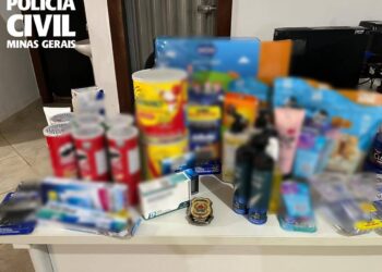 PCMG prende mulher por estelionato e uso de documento falso em Lagoa da Prata