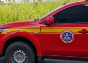 Bombeiros orientam tutor após denúncia de cão potencialmente agressivo em Córrego Fundo