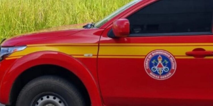 Bombeiros orientam tutor após denúncia de cão potencialmente agressivo em Córrego Fundo