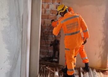 Aparição de lobo-guará em obra mobiliza bombeiros em Santo Antônio do Amparo