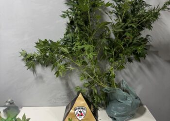 Polícia Militar desarticula ponto de venda de drogas no bairro Novo Horizonte em Formiga