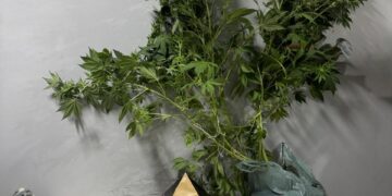 Polícia Militar desarticula ponto de venda de drogas no bairro Novo Horizonte em Formiga