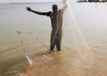 Prefeitura de Formiga orienta pescadores sobre exigência do CadÚnico para Seguro-Defeso