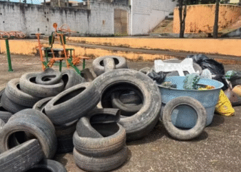 Divinópolis tem alto risco de epidemia após aumento nos focos do Aedes aegypti