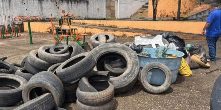 Divinópolis tem alto risco de epidemia após aumento nos focos do Aedes aegypti