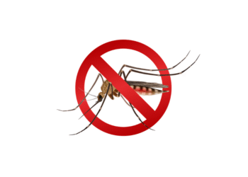 Prefeitura de Formiga reforça importância da sorologia para confirmação da dengue