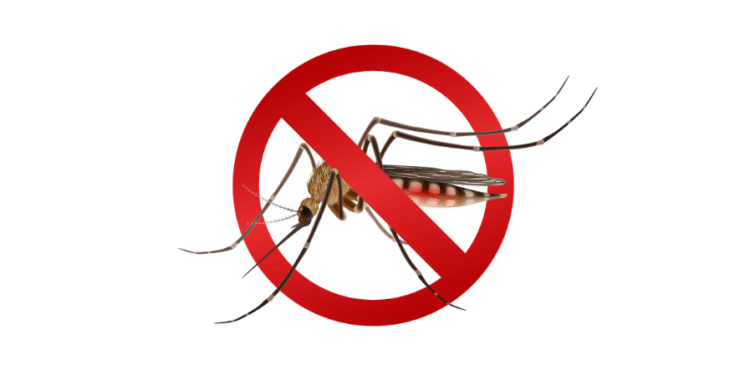 Prefeitura de Formiga reforça importância da sorologia para confirmação da dengue