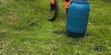 Bombeiros capturam jiboia em clube na Avenida Geraldo Almeida, em Formiga