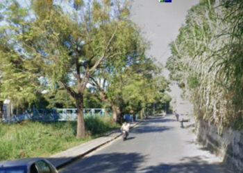 Avenida José Arantes será interditada para serviços de poda e capina na próxima semana