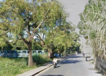 Avenida José Arantes será interditada para serviços de poda e capina nesta próxima semana