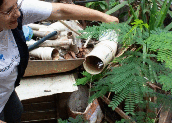 Governo de Minas Gerais reforça combate ao Aedes aegypti no período chuvoso e mobiliza todo o estado