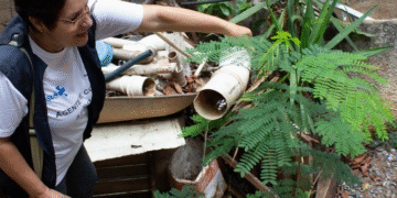 Governo de Minas Gerais reforça combate ao Aedes aegypti no período chuvoso e mobiliza todo o estado