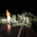 Árvore cai e bloqueia parcialmente a BR-354, no sentido Iguatama, durante chuva forte