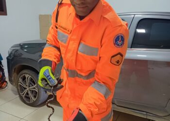 Formiga: operação dos bombeiros exige retirada de roda de carro para captura de serpente no bairro Lajinha