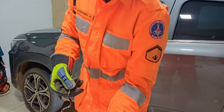 Formiga: operação dos bombeiros exige retirada de roda de carro para captura de serpente no bairro Lajinha