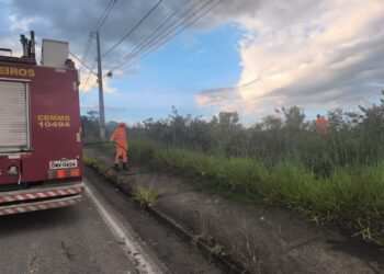 Incêndio atinge área de vegetação no bairro Cidade Nova, em Formiga