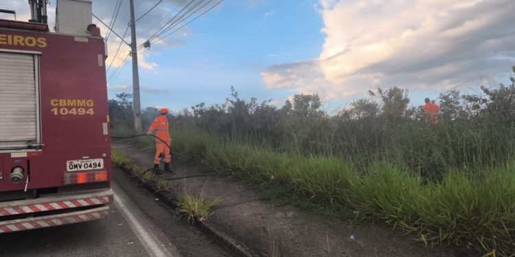 Incêndio atinge área de vegetação no bairro Cidade Nova, em Formiga