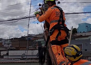 Corpo de Bombeiros realiza resgate de animal preso em fiação em Campo Belo