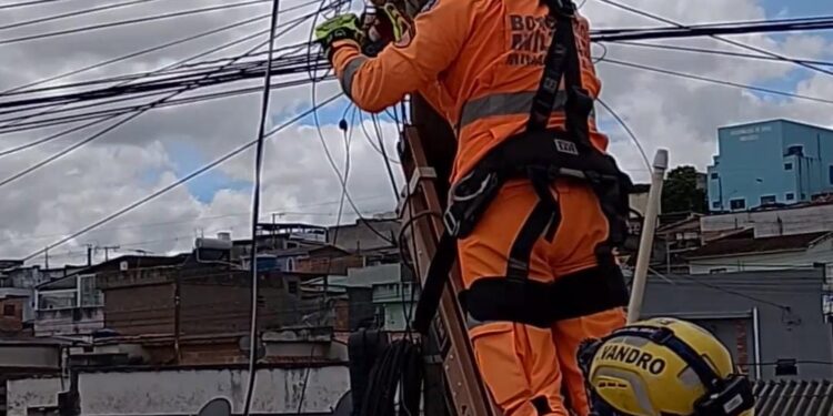 Corpo de Bombeiros realiza resgate de animal preso em fiação em Campo Belo