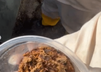 Prefeitura de Formiga realiza captura de 236 escorpiões após dedetização no Cemitério do Santíssimo