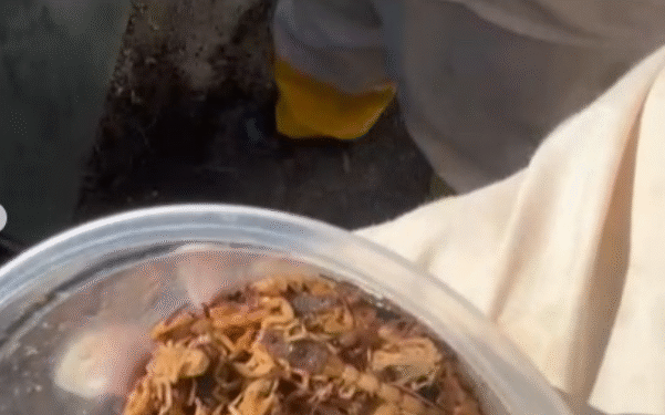 Prefeitura de Formiga realiza captura de 236 escorpiões após dedetização no Cemitério do Santíssimo