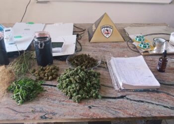 Homem é preso em flagrante por cultivar maconha dentro de casa em Itapecerica