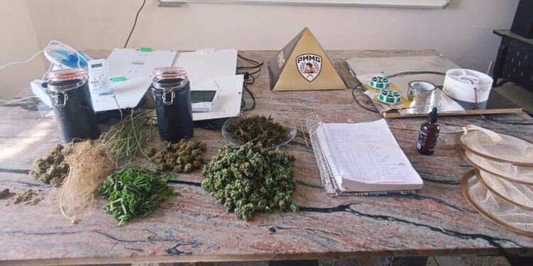 Homem é preso em flagrante por cultivar maconha dentro de casa em Itapecerica