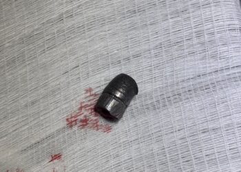 Cão comunitário baleado em Formiga passa por cirurgia para a retirada de projétil