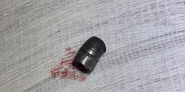 Cão comunitário baleado em Formiga passa por cirurgia para a retirada de projétil